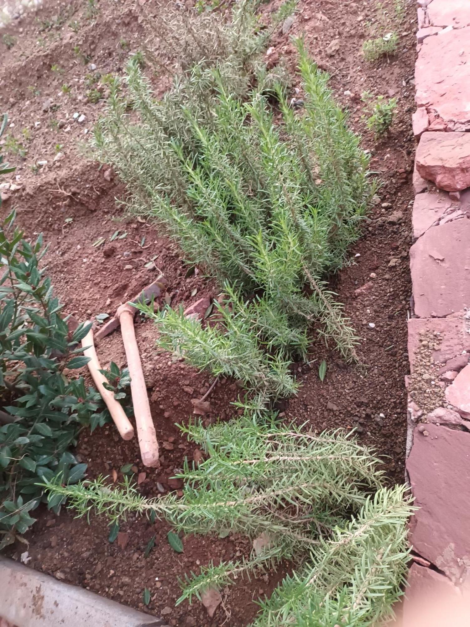 Ecolodge Espace Tamount Demnat Εξωτερικό φωτογραφία