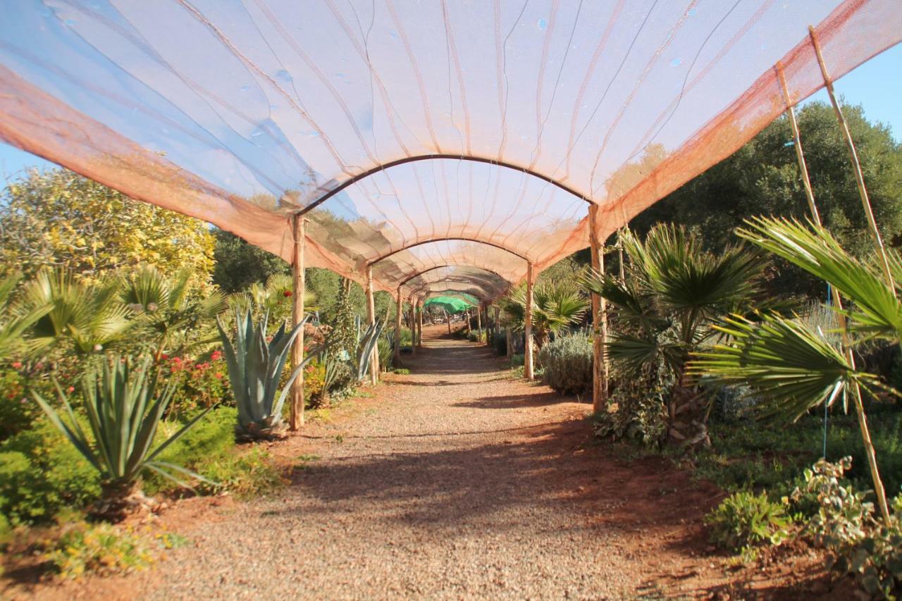 Ecolodge Espace Tamount Demnat Εξωτερικό φωτογραφία