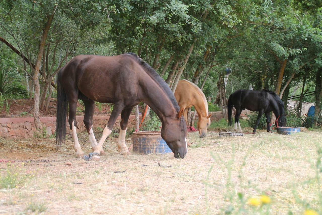 Ecolodge Espace Tamount Demnat Εξωτερικό φωτογραφία